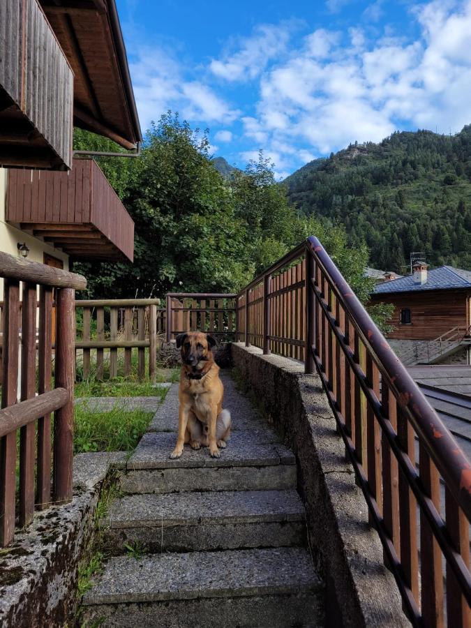 Casa Ettore Lizzola Alta ภายนอก รูปภาพ